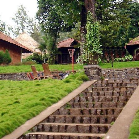 Hotel Misty Woods Dharamshala Ngoại thất bức ảnh